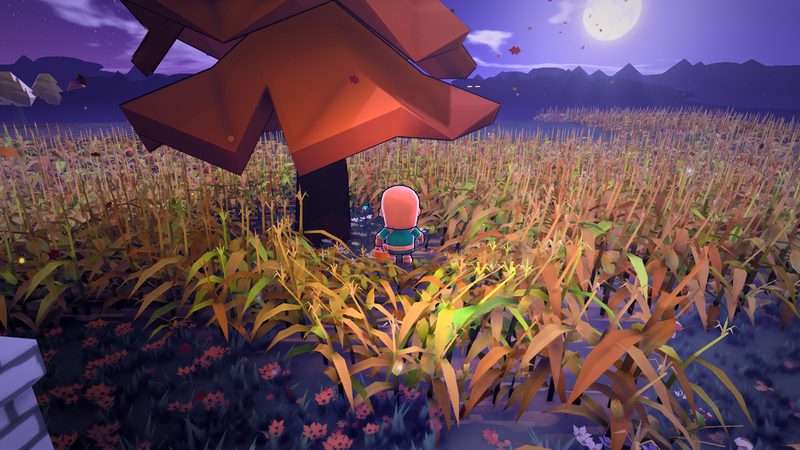Tall autumn corn behind a garden of flowers.